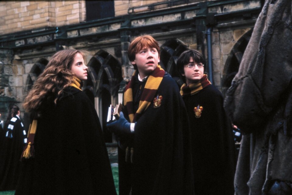 Фото Гарри Поттер и Тайная комната