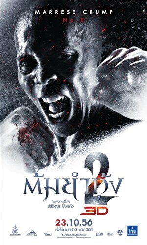 Постер: (Честь дракона 2, 2013 - вся информация о фильме на FilmNavi.ru