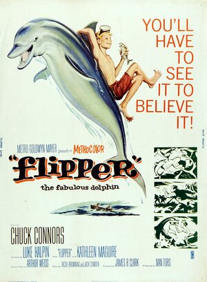 Постер: (Флиппер, 1963 - вся информация о фильме на FilmNavi.ru