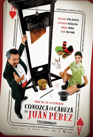  (2008)