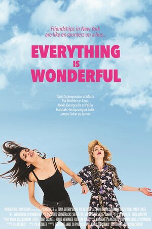 Постер: (Everything Is Wonderful, 2017 - вся информация о фильме на FilmNavi.ru