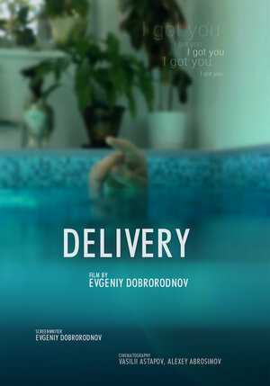 Постер: (Доставлено, 2017 - вся информация о фильме на FilmNavi.ru