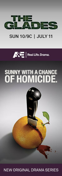 Постер: (Пляжный коп, 2010 - вся информация о сериале на FilmNavi.ru