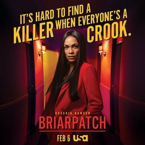 Постер: (Терновый куст, 2020 - вся информация о сериале на FilmNavi.ru