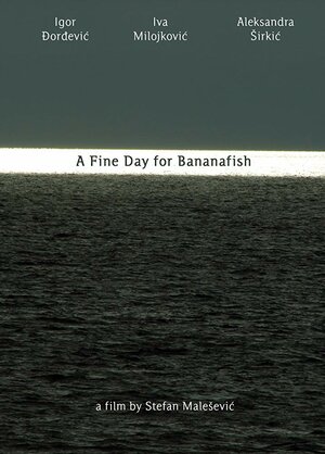 Постер: (Divan dan za bananaribe, 2014 - вся информация о фильме на FilmNavi.ru