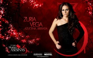 Постер: (Женщины-убийцы, 2008 - вся информация о сериале на FilmNavi.ru