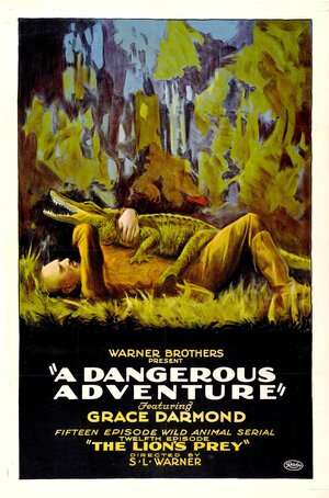 Постер: (A Dangerous Adventure, 1922 - вся информация о фильме на FilmNavi.ru