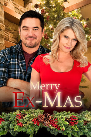 Постер: (Merry Ex-Mas, 2014 - вся информация о фильме на FilmNavi.ru
