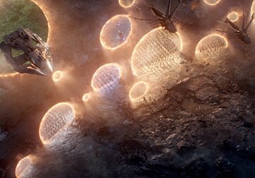 Кадр из фильма