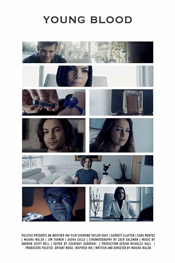  (2017)