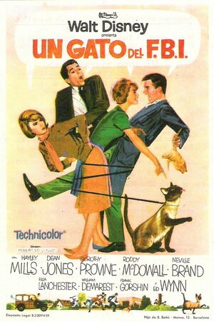 Постер: (Эта дикая кошка, 1965 - вся информация о фильме на FilmNavi.ru