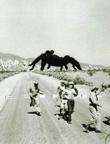 Кадр из фильма