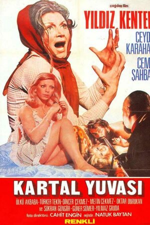 Постер: (Гнездо ястреба, 1974 - вся информация о фильме на FilmNavi.ru