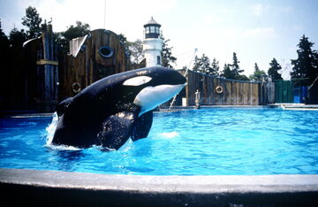 Кадр из фильма