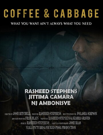  (2017)