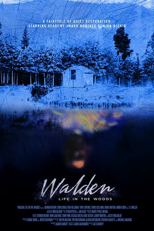 Постер: (Walden: Life in The Woods, 2017 - вся информация о фильме на FilmNavi.ru