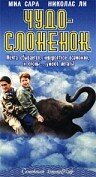 Чудо — слоненок (2001)