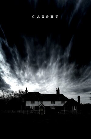 Постер: (Пойманный, 2017 - вся информация о фильме на FilmNavi.ru