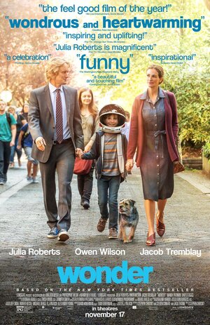 Постер: (Чудо, 2017 - вся информация о фильме на FilmNavi.ru