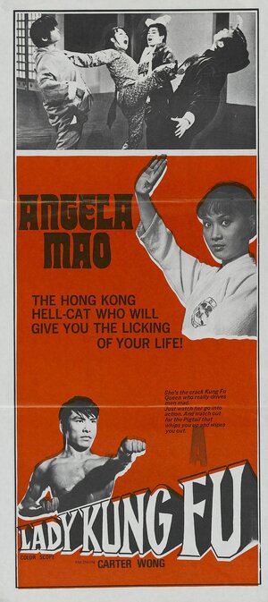 Постер: (Леди кунг-фу, 1972 - вся информация о фильме на FilmNavi.ru