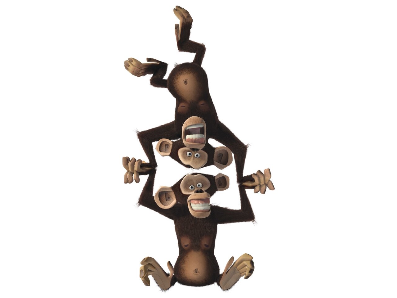 Обезьяны из мадагаскара картинки