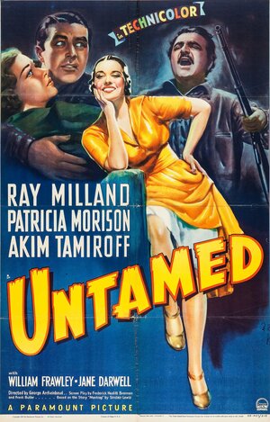 Постер: (Неукротимый, 1940 - вся информация о фильме на FilmNavi.ru