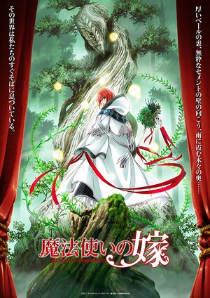 Постер: (Невеста чародея, 2017 - вся информация о мультсериале на FilmNavi.ru