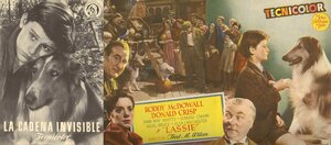 Постер: (Лесси возвращается домой, 1943 - вся информация о фильме на FilmNavi.ru