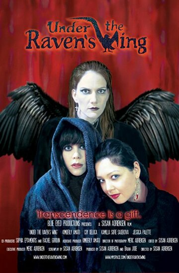  (2007)