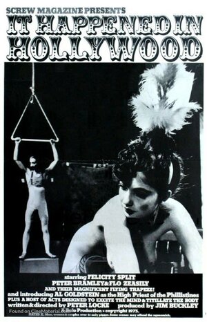 Постер: (Это случилось в Голливуде, 1973 - вся информация о фильме на FilmNavi.ru
