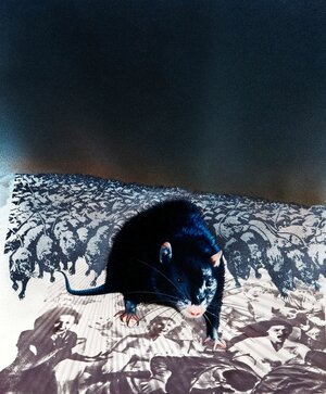 Постер: (Бен, 1972 - вся информация о фильме на FilmNavi.ru