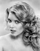 Траннилер және олардың үлкен шарлары