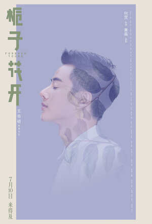 Постер: (Вечно молодые, 2015 - вся информация о фильме на FilmNavi.ru