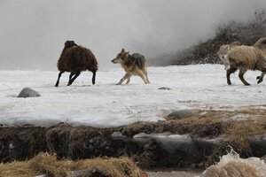 Старик кадр 4 онлайн-кинотеатр Эмбликс