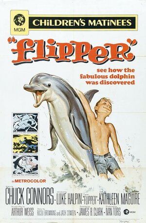 Постер: (Флиппер, 1963 - вся информация о фильме на FilmNavi.ru