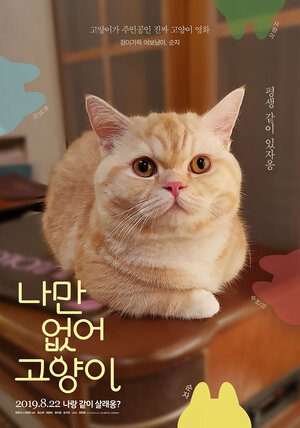 Постер: (Привет, кот, 2019 - вся информация о фильме на FilmNavi.ru