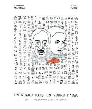 Постер: (Облако над стаканом с водой, 2012 - вся информация о фильме на FilmNavi.ru