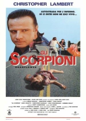 Постер: (Цветок у дороги, 1993 - вся информация о фильме на FilmNavi.ru