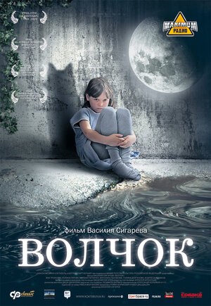 Постер: (Волчок, 2009 - вся информация о фильме на FilmNavi.ru
