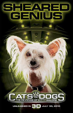 Постер: (Кошки против собак: Месть Китти Галор, 2010 - вся информация о мультфильме на FilmNavi.ru
