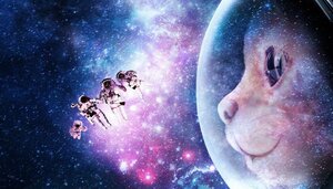 Постер: (Мяу, 2017 - вся информация о фильме на FilmNavi.ru