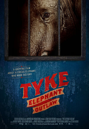 Постер: (Tyke Elephant Outlaw, 2015 - вся информация о фильме на FilmNavi.ru