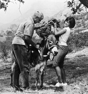 Кавказская пленница, или Новые приключения Шурика (1966) — как снимали ...