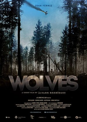 Постер: (Wolves, 2016 - вся информация о фильме на FilmNavi.ru