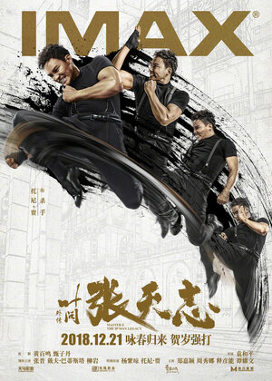 Постер: (Мастер Z: Наследие Ип Мана, 2018 - вся информация о фильме на FilmNavi.ru