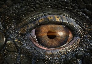 Морские динозавры 3D: Путешествие в доисторический мир кадр 17 онлайн-кинотеатр Эмбликс