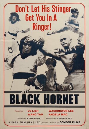 Постер: (Битва Шаолинь, 1977 - вся информация о фильме на FilmNavi.ru