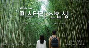 Постер: (Загадочный новичок, 2016 - вся информация о фильме на FilmNavi.ru