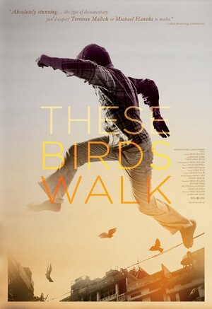 Постер: (These Birds Walk, 2012 - вся информация о фильме на FilmNavi.ru