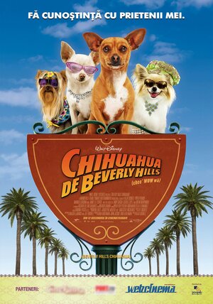 Постер: (Крошка из Беверли-Хиллз, 2008 - вся информация о фильме на FilmNavi.ru